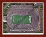 Aerial image of [2010] MSU Stadium with Cherry Wood frame