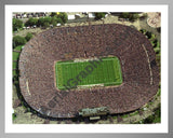 Aerial image of [2011] Michigan Stadium (The Big House) with Silver Metal frame